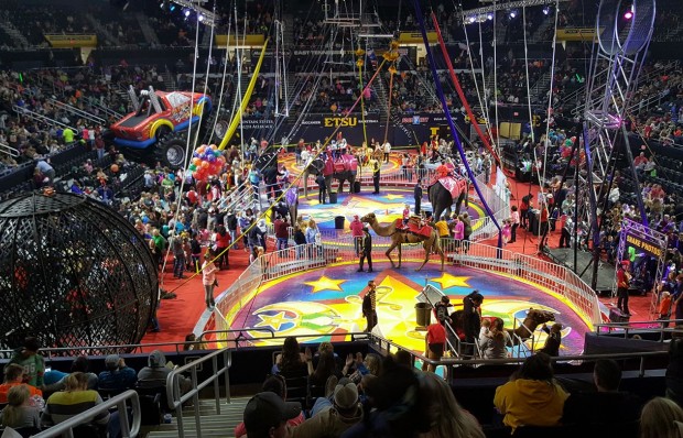 Spectacular Circus 2019